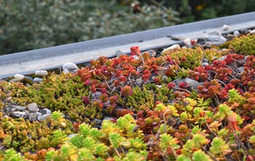 the cost of Hem Heath green roof installation