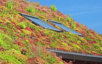 Hem Heath living roof systems