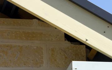 soffit repair Hem Heath
