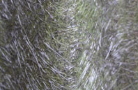 Hem Heath fibreglass roof work